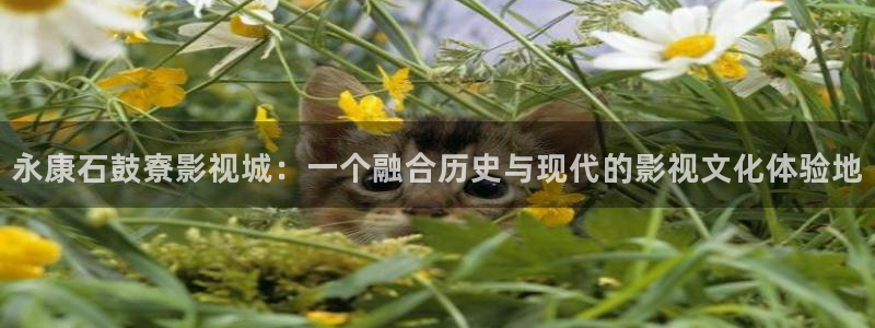 蜜桃影视17