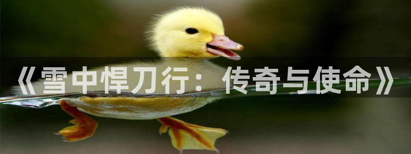 小蜜桃免费看：《雪中悍刀行：传奇与使命》