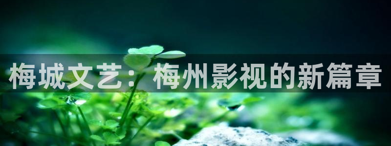 水蜜桃成熟期电影：梅城文艺：梅州影视的新篇章