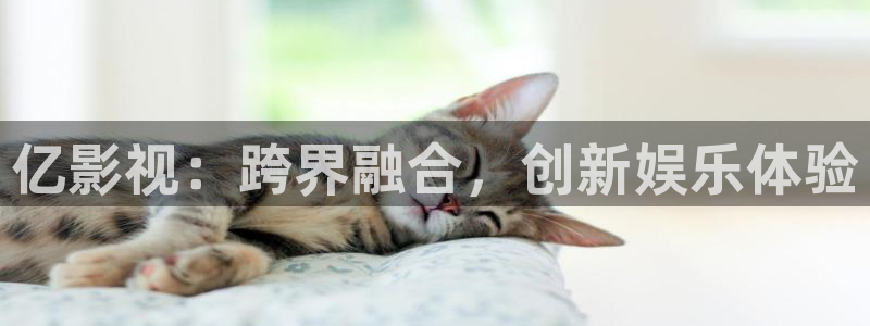 美国电影小蜜桃2